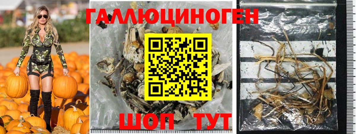 Псилоцибиновые грибы GOLDEN TEACHER  Вход с VPN  Феодосия  Галлюциногенные грибы Magic Shrooms 